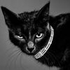 third_eye_accessories_