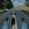 les_reynolds2