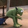 user75m9owoebl