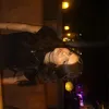 sofi.lucena