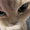 maria_nicholla