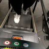 afi.fit