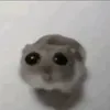 username_12_12_12_