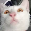 mingmingpeebe