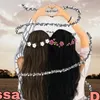 _lisseditz_