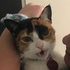 secretpetscol