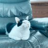 whoismishaa23