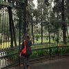 seaofaster0id