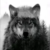 vampire_werewolf31
