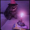 liz_y0260