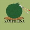 samfolina