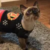 gatinha_matilde