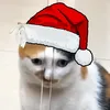 woniekwonme