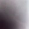 whatsup_1037