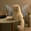 perdidaa1.9