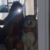 dianita_493
