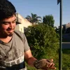 joelferreira29
