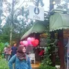 imasnurmalawati