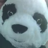 laura_p123