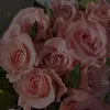 lauramarchitti_