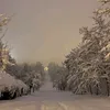 izuskav