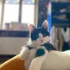 kamalova_82