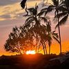 alohaxsayyy