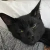 lilyljjones