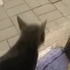 lilowaterfights0