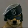 killermopets.wife