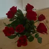 lina_x_16