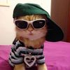 13tiger_lily_13
