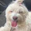 mynameiscecilda
