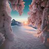 azoz_001