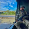 bfr_nogueira