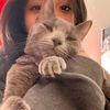 cocoplusmee