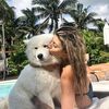 raiane.macedo