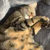 mimka925