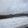 870_tristen