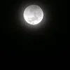 jaozin_ttk047