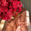 noor_alsomahi