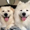 Kate | ODY AND GIO