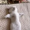 awiiiinn