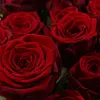 selina_beauty0