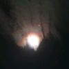 midnightsnmoonlight