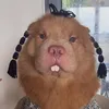 quinndza0