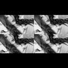 sheylamirella
