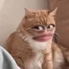 ngocnhungg167