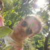 niclas1182