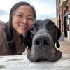 darcyandthedane